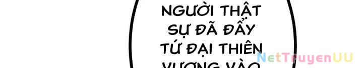 Sát Thủ Mạnh Nhất Chuyển Sinh Sang Thế Giới Khác Chapter 50 - Trang 4
