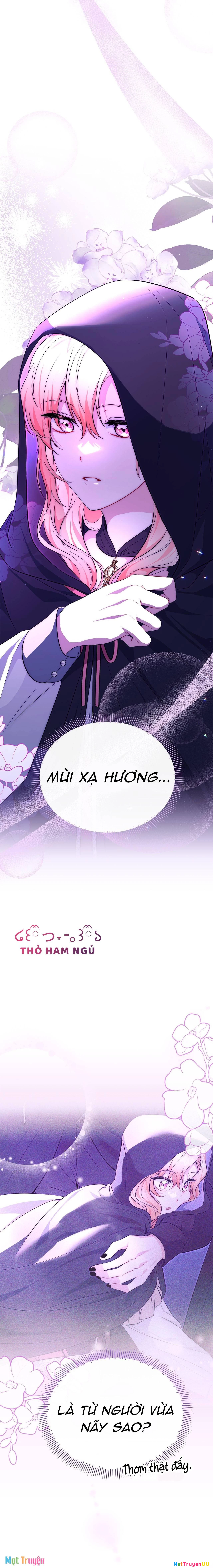 Có Nhiều Nam Chính Quá Đi! Chapter 23 - Next Chapter 24