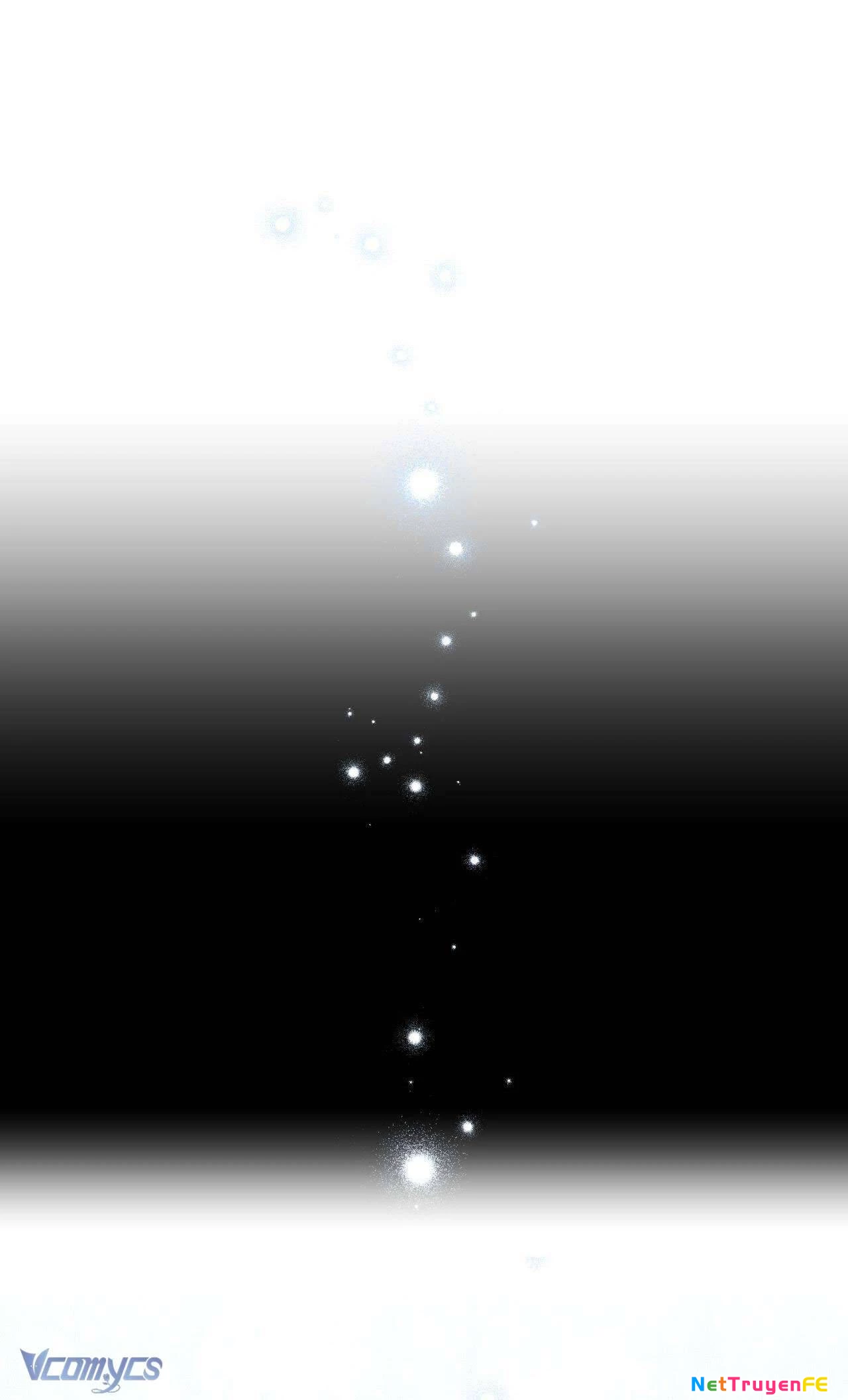 Thánh Nữ Giả Muốn Bỏ Trốn Chap 12 - Trang 4