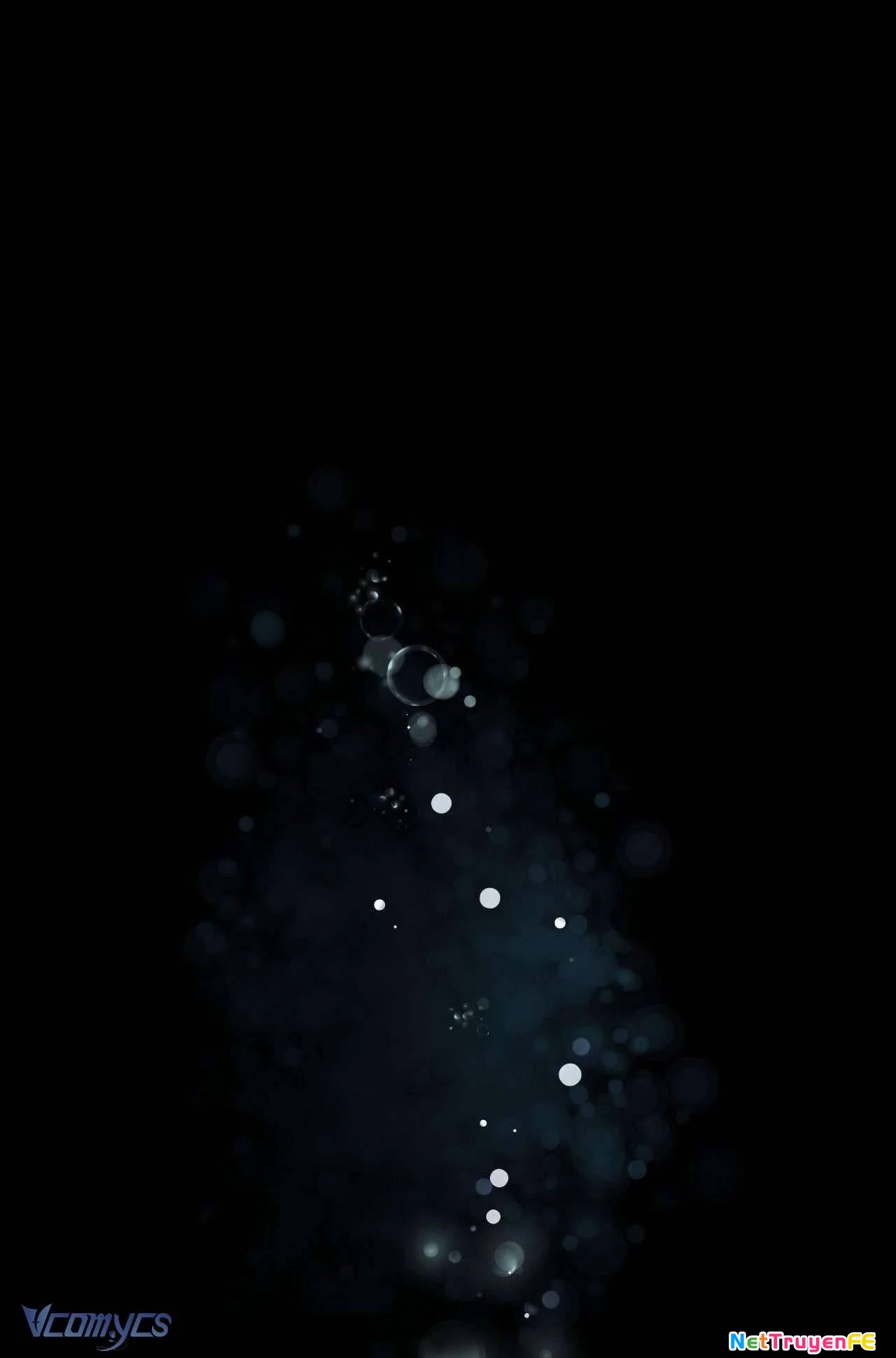 Thánh Nữ Giả Muốn Bỏ Trốn Chap 12 - Trang 4