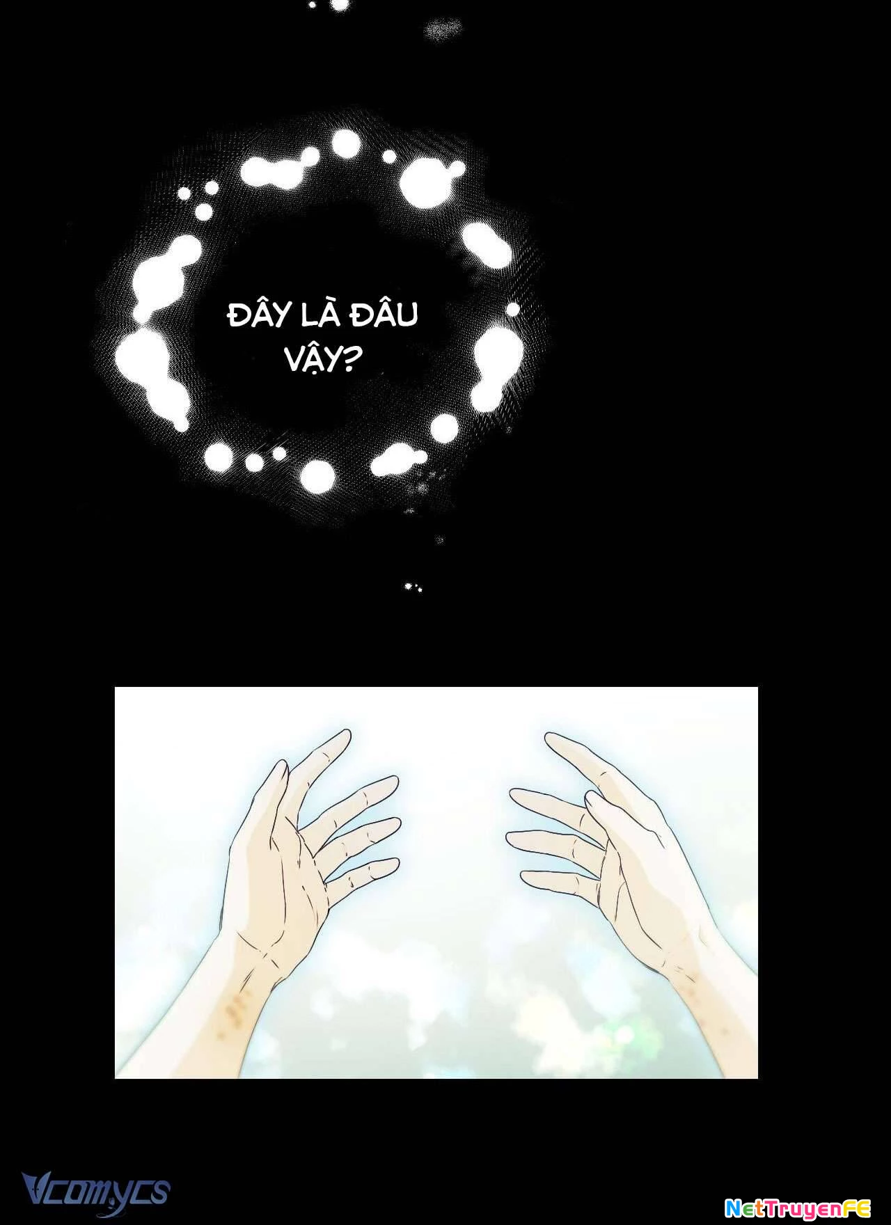 Thánh Nữ Giả Muốn Bỏ Trốn Chap 12 - Trang 4