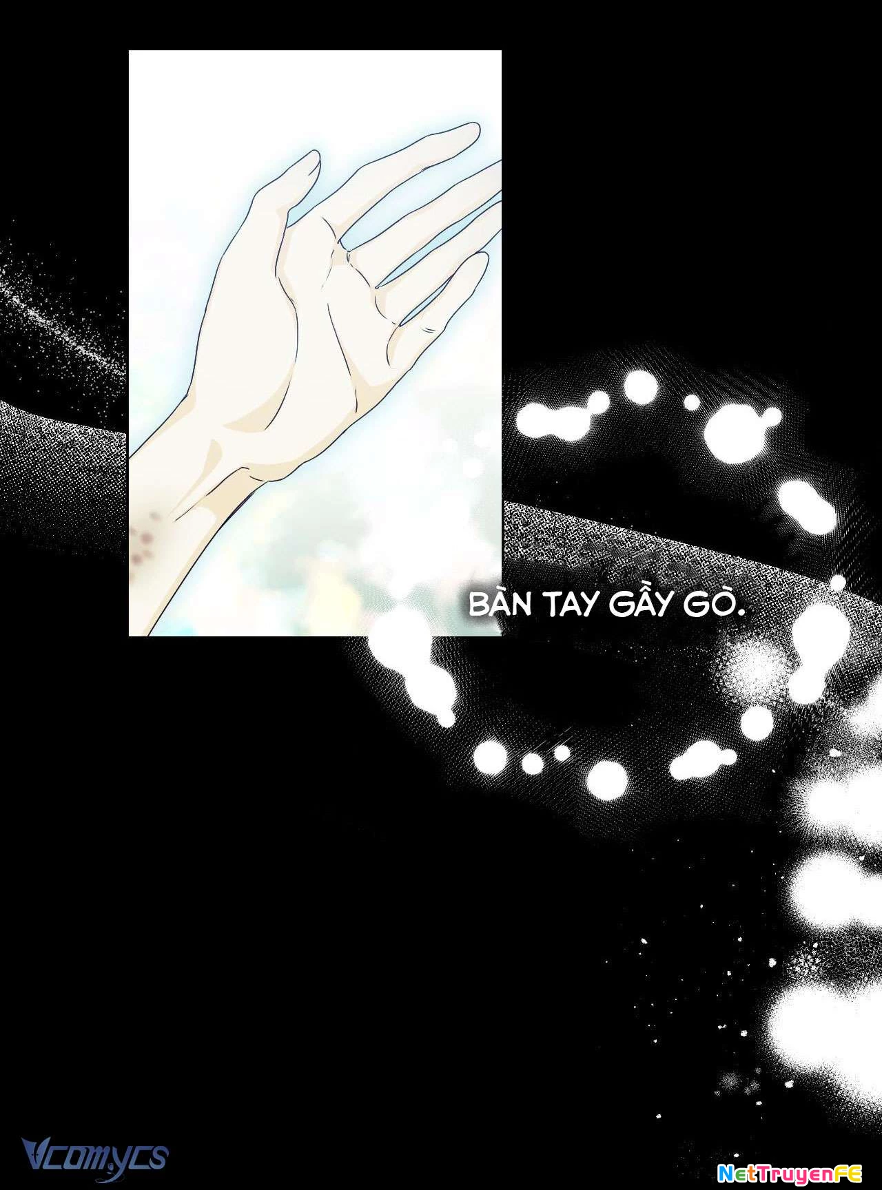 Thánh Nữ Giả Muốn Bỏ Trốn Chap 12 - Trang 4