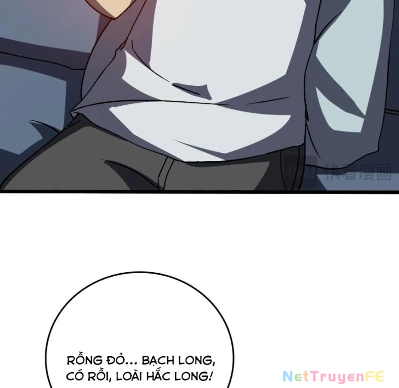 Bắt Đầu Kế Nhiệm Boss Hắc Long, Ta Vô Địch Chapter 16 - Next Chapter 17