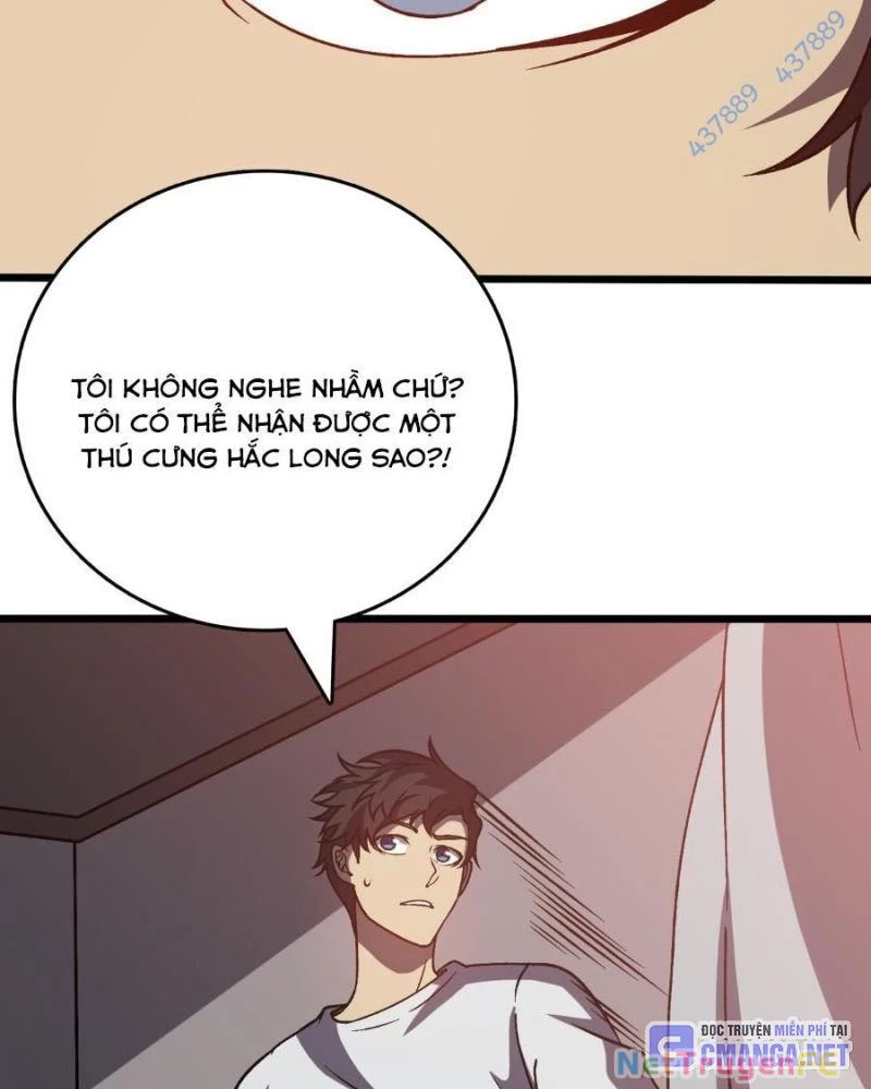 Bắt Đầu Kế Nhiệm Boss Hắc Long, Ta Vô Địch Chapter 16 - Next Chapter 17