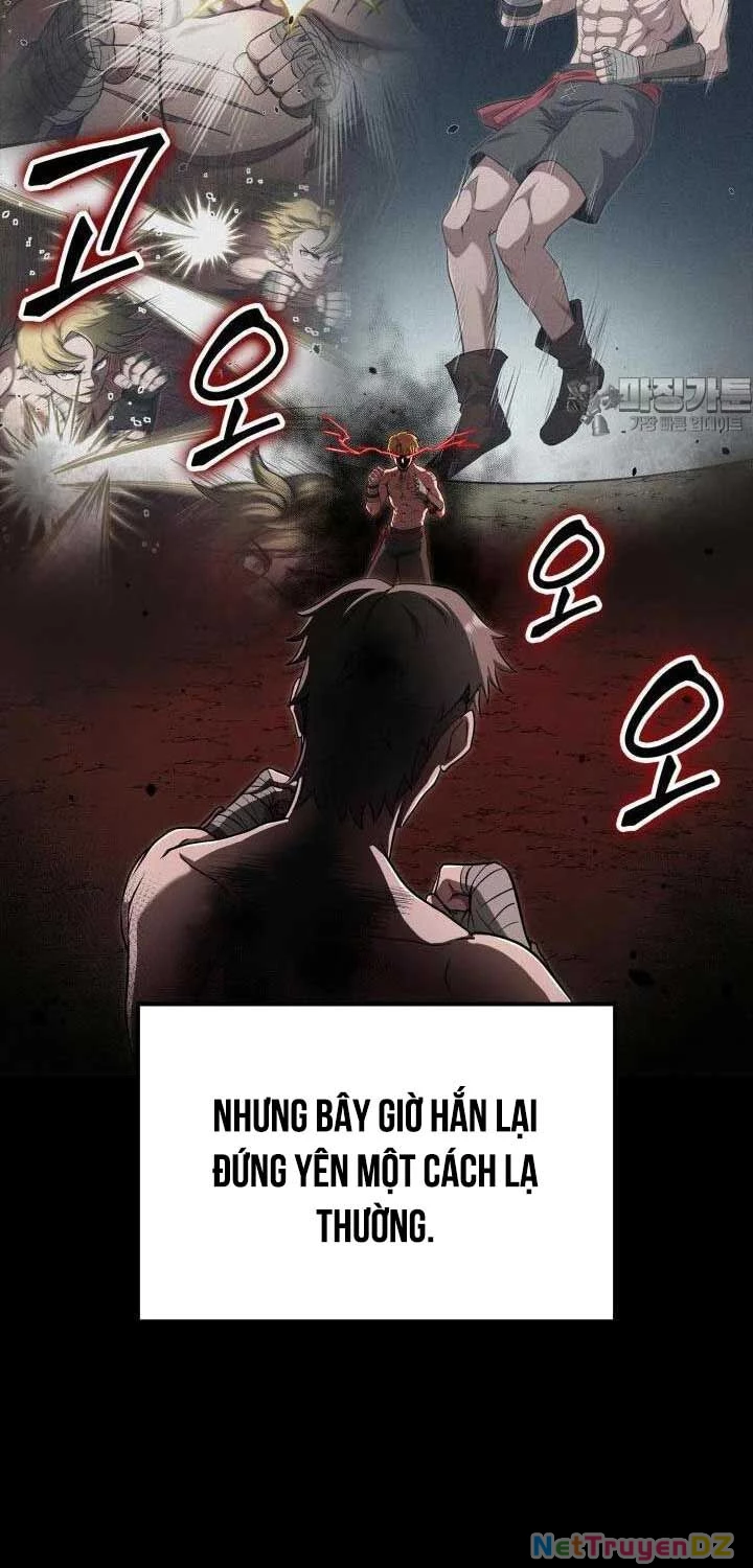 Nhà Vô Địch Kalli Chapter 81 - Next Chapter 82