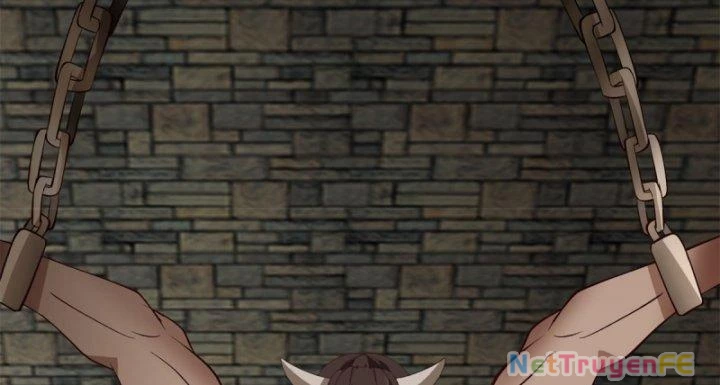 Hỗn Độn Đan Thần Chapter 362 - Next Chapter 363