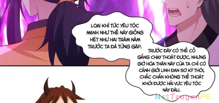 Hỗn Độn Đan Thần Chapter 395 - Next Chapter 396