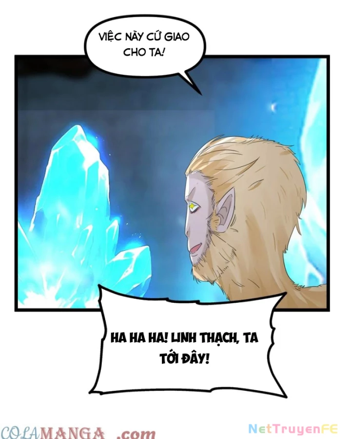 Hỗn Độn Đan Thần Chapter 492 - Next Chapter 493