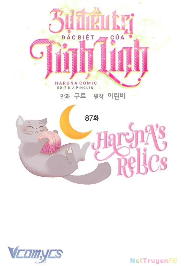 Sự Điều Trị Đặc Biệt Của Tinh Linh Chapter 87 - Trang 4