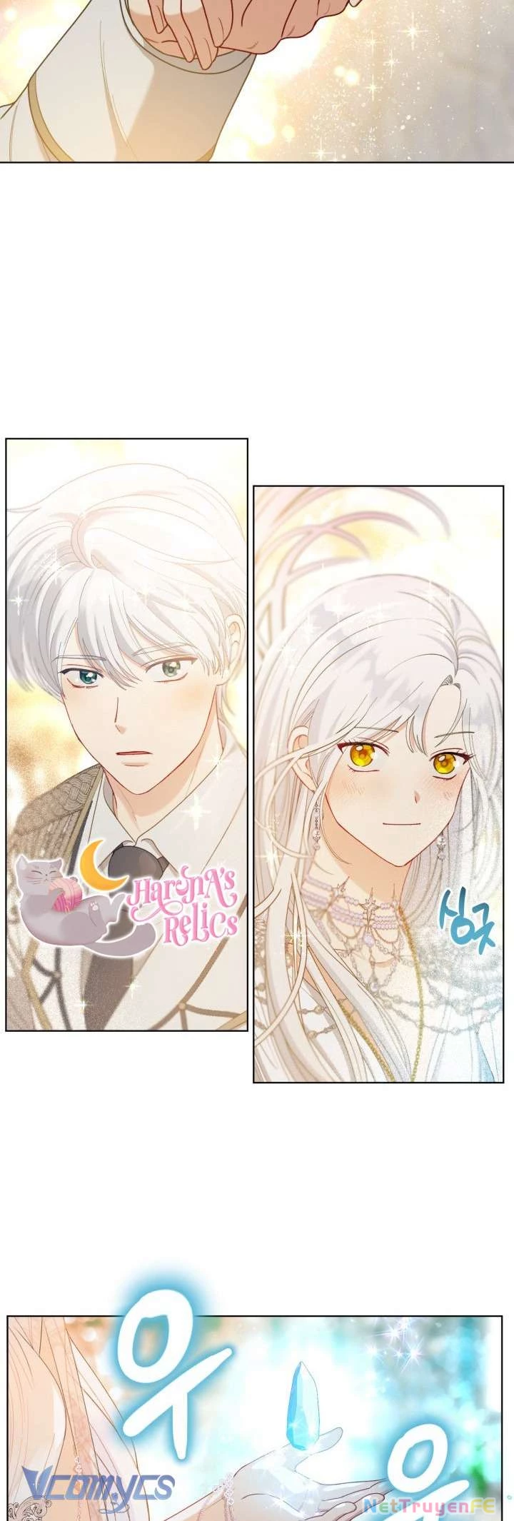 Sự Điều Trị Đặc Biệt Của Tinh Linh Chapter 87 - Trang 4