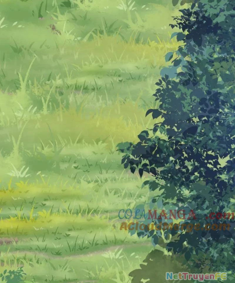 Đệ Nhất Danh Sách Chapter 421 - Trang 4