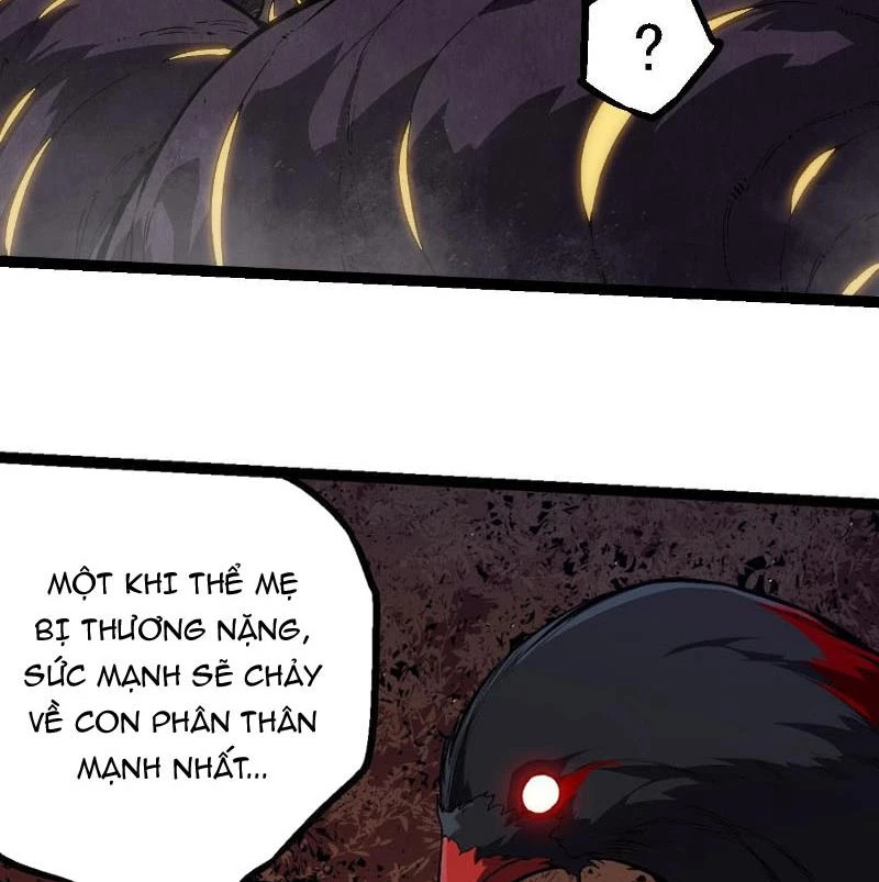 Chuyển Sinh Thành Liễu Đột Biến Chapter 281 - Trang 4