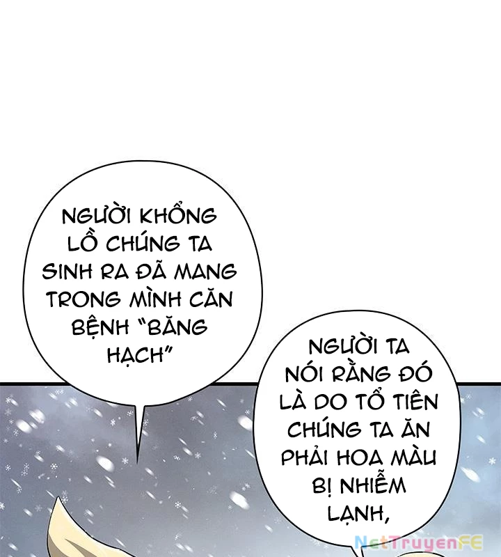 Thần Kiếm: Đứa Con Của Thần Chết Chapter 29 - Next Chapter 31