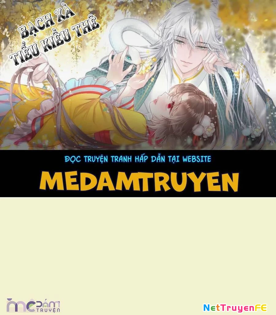 Nữ Phụ Không Muốn Nam Nữ Chính Chia Tay Chapter 20 - Trang 4