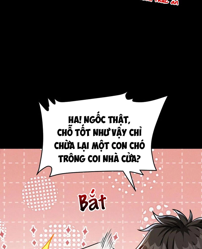 Mạt thế cầu sinh: Ta có thể nhìn thấy ẩn tàng hệ thống Chapter 78 - Next Chapter 79