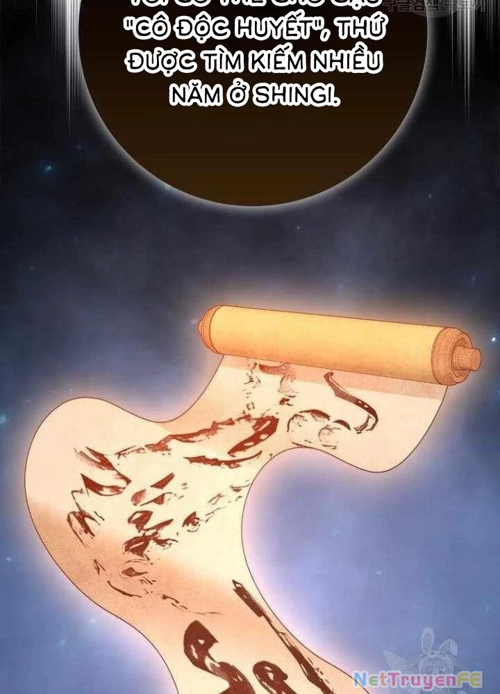 Thiên Tài Võ Thuật Hồi Quy Chapter 37 - Trang 4