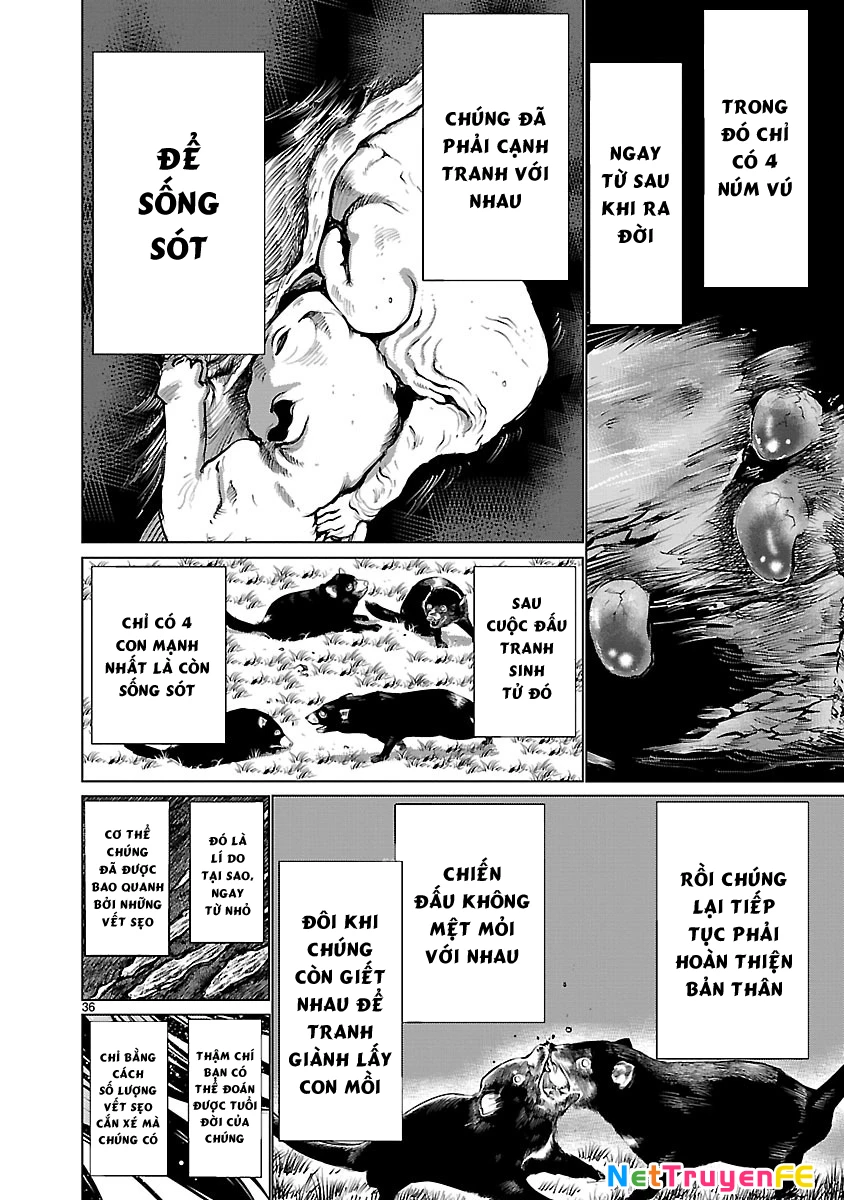 Killing Bites Chapter 36 - Trang 4