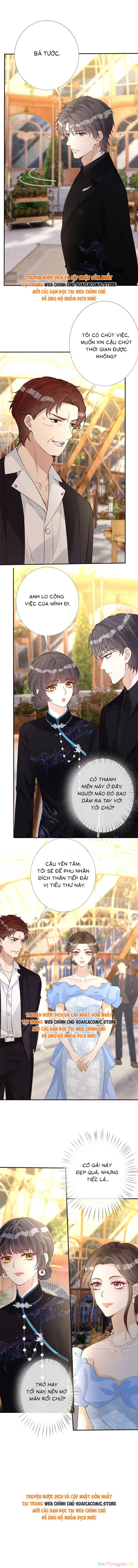 Ôm Khẩn Tiểu Mã Giáp Của Tôi Chapter 336 - Trang 4