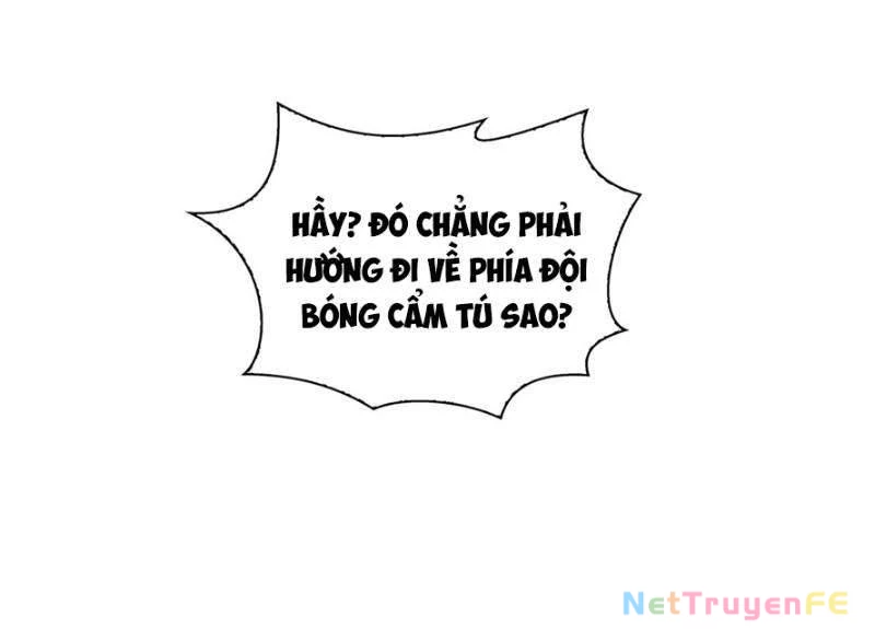Hệt Như Hàn Quang Gặp Nắng Gắt Chap 44 - Trang 4