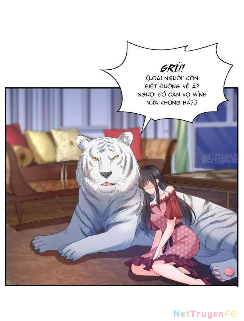 Hệt Như Hàn Quang Gặp Nắng Gắt Chap 66 - Next Chap 67