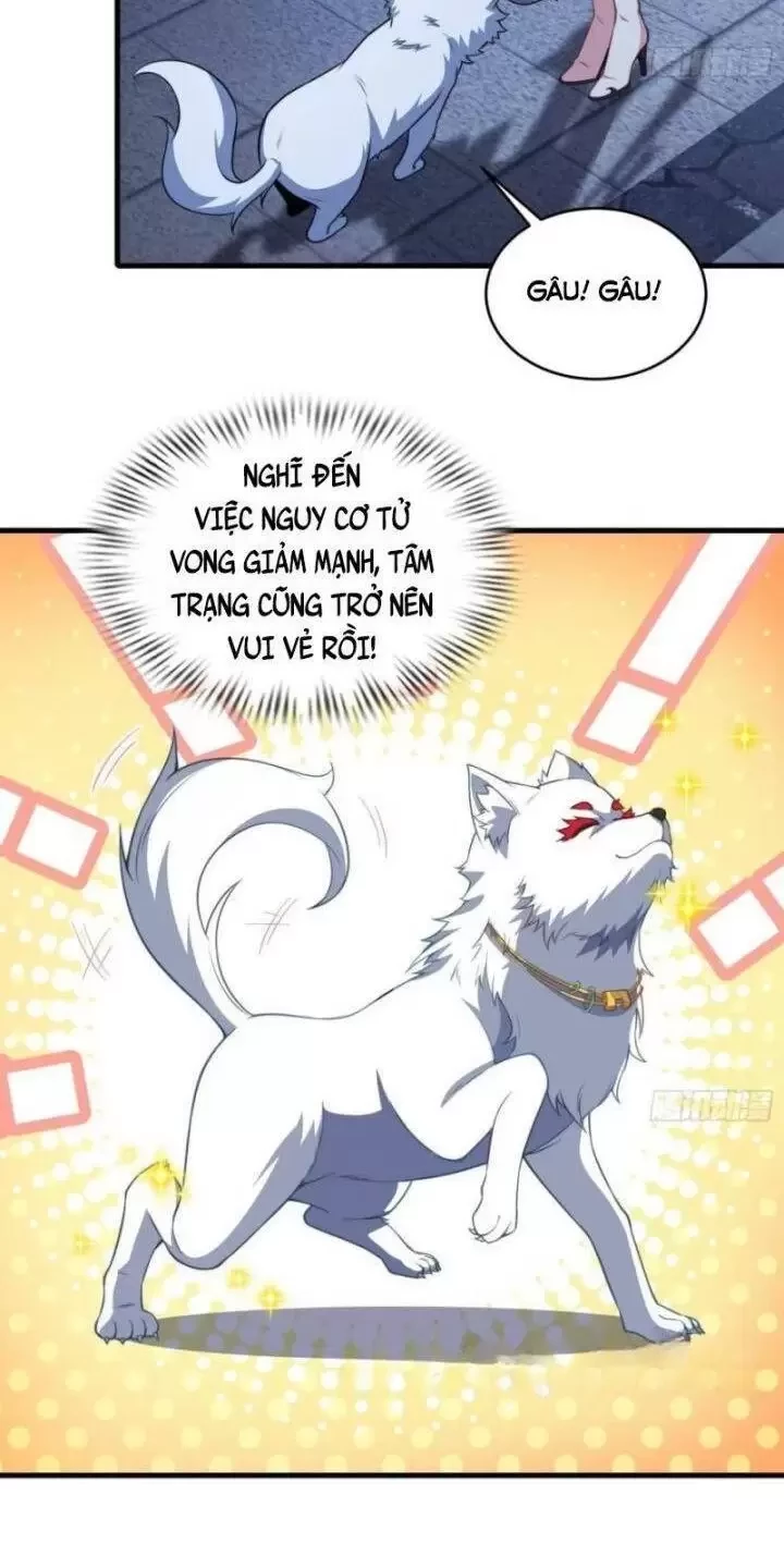 Xuyên Không Thành Npc: Ta Có Lão Bà Che Chở Chapter 73 - Next Chapter 74