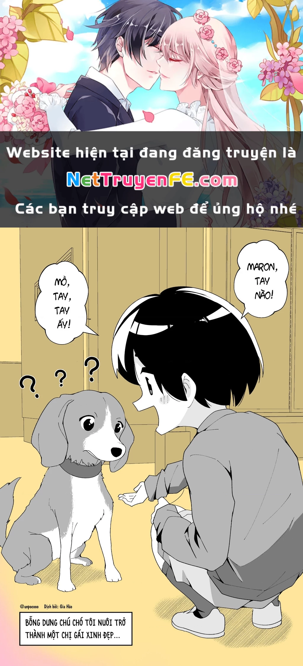 Oneshot Nhưng Lại Là Series Chapter 199 - Trang 3