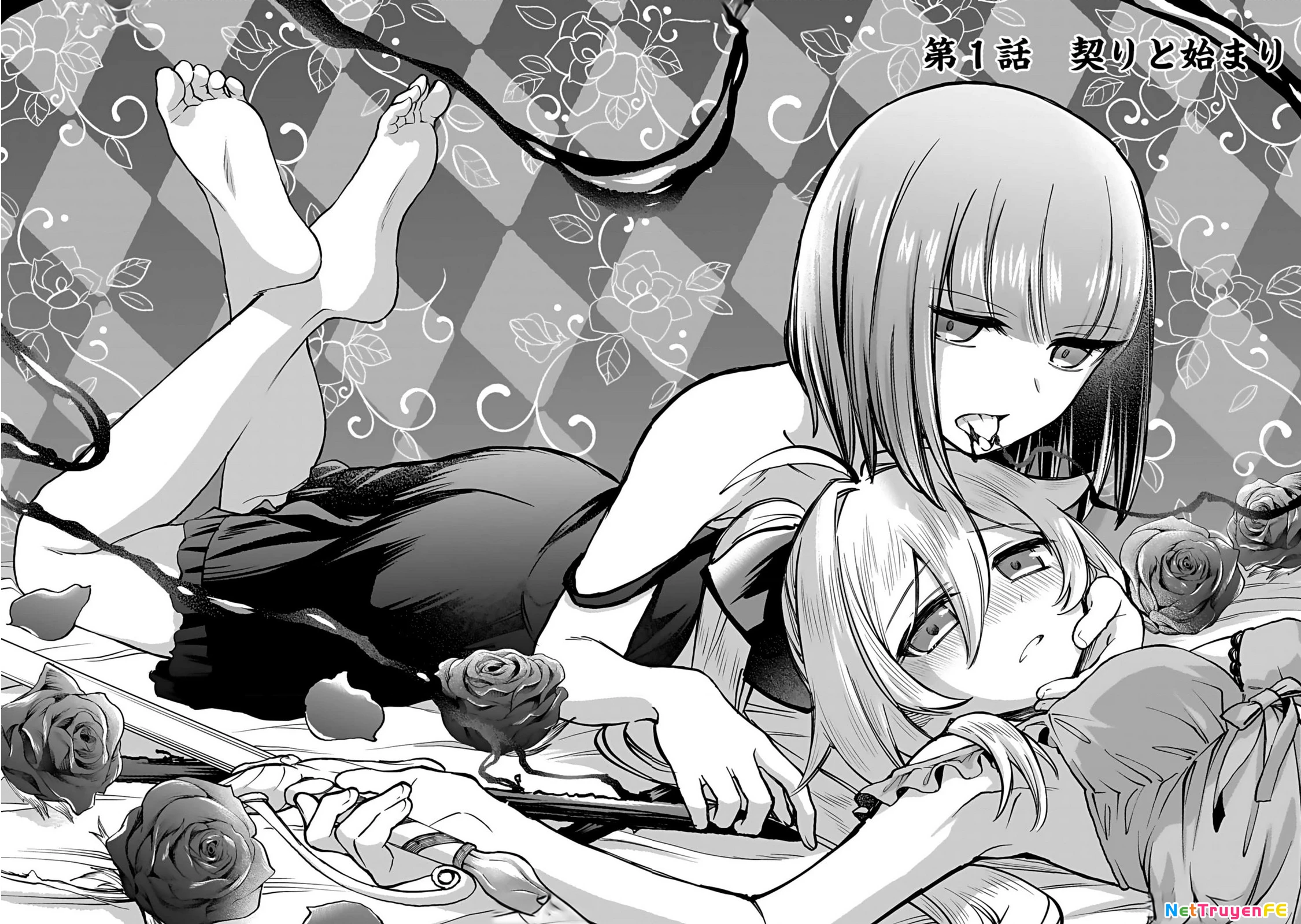 Eiyuu ni Akogareta Shoujo wa Kyuuketsuki ni Ochitemo Eiyuu o Mezasu Chapter 1 - Next Chapter 2