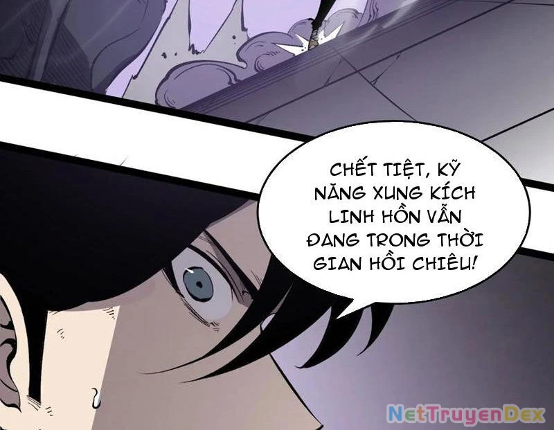 Ta Nhặt Rác Thượng Vương Giả Chapter 38 - Trang 4