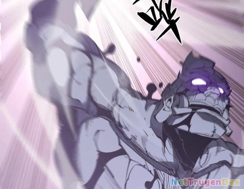 Ta Nhặt Rác Thượng Vương Giả Chapter 38 - Trang 4