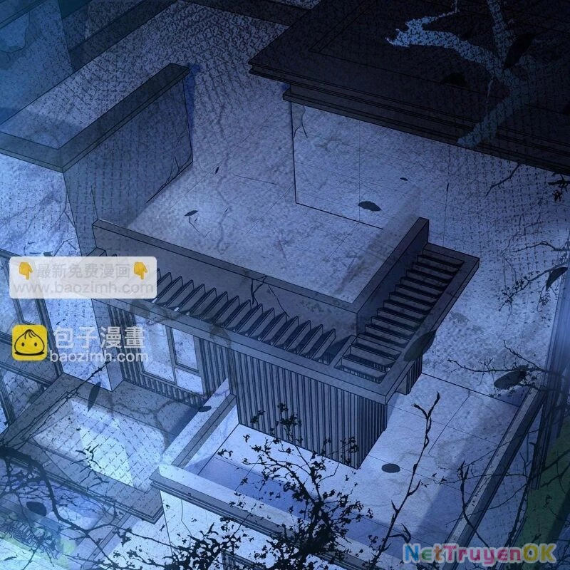 Các Nữ Đồ Đệ Của Ta Đều Là Chư Thiên Đại Lão Tương Lai Chapter 256 - Next Chapter 257