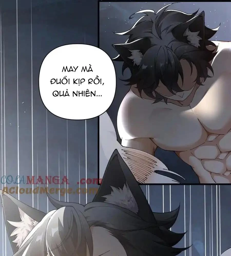 Thánh Nữ, Xin Hãy Dừng Ngay Những Trò Quái Đản Của Cô Đi!! Chapter 79 - Next Chapter 80