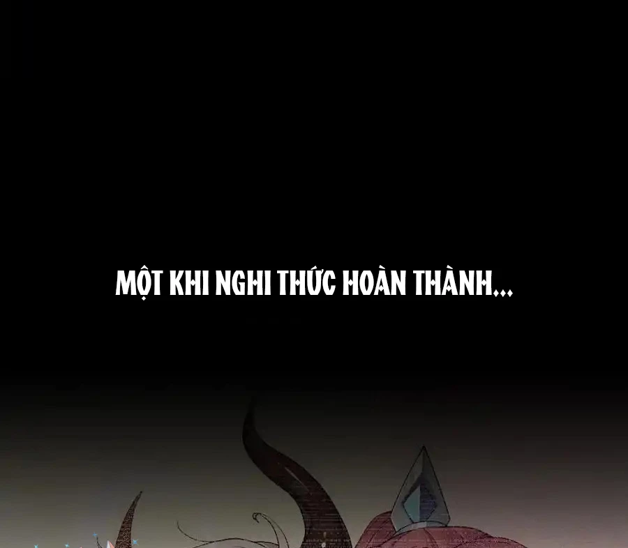 Thánh Nữ, Xin Hãy Dừng Ngay Những Trò Quái Đản Của Cô Đi!! Chapter 81 - Next Chapter 82