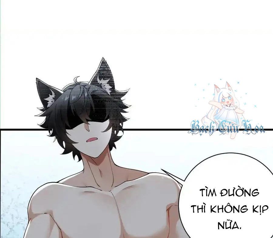 Thánh Nữ, Xin Hãy Dừng Ngay Những Trò Quái Đản Của Cô Đi!! Chapter 81 - Next Chapter 82