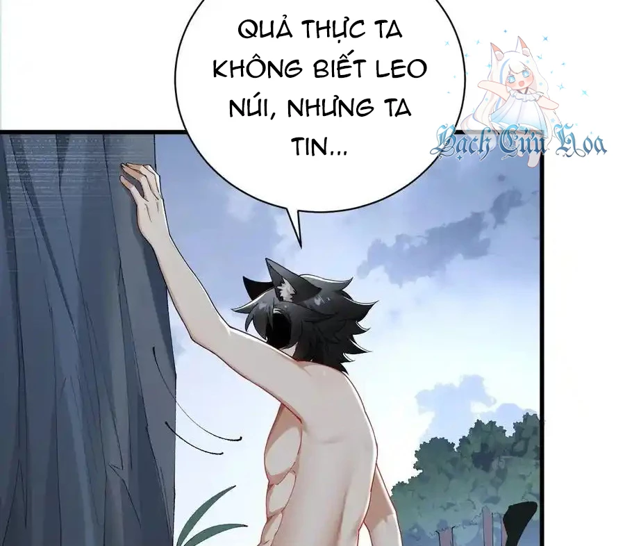 Thánh Nữ, Xin Hãy Dừng Ngay Những Trò Quái Đản Của Cô Đi!! Chapter 81 - Next Chapter 82