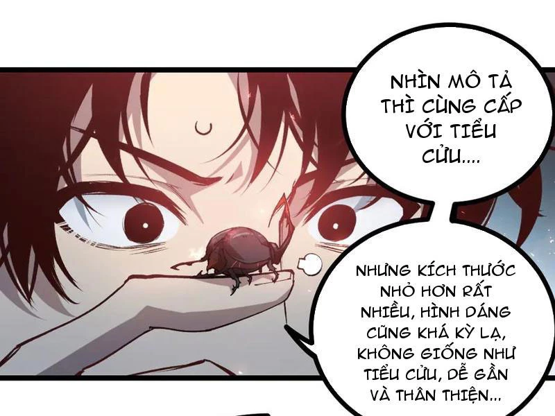 ta là chúa tể trùng độc Chapter 34 - Next Chapter 35