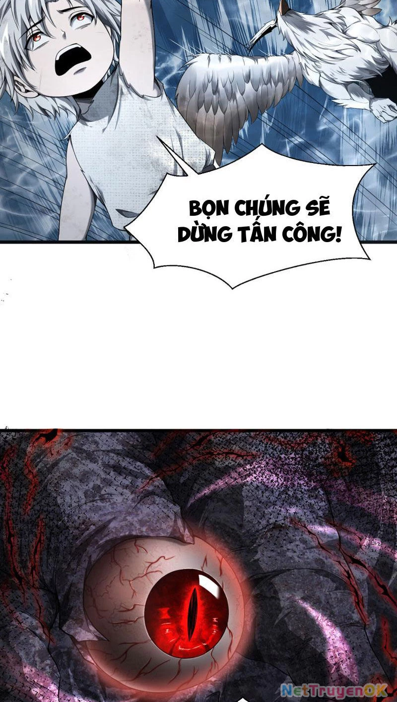 Cái Bóng Phản Bội Của Gia Tộc Chapter 5 - Next Chapter 5