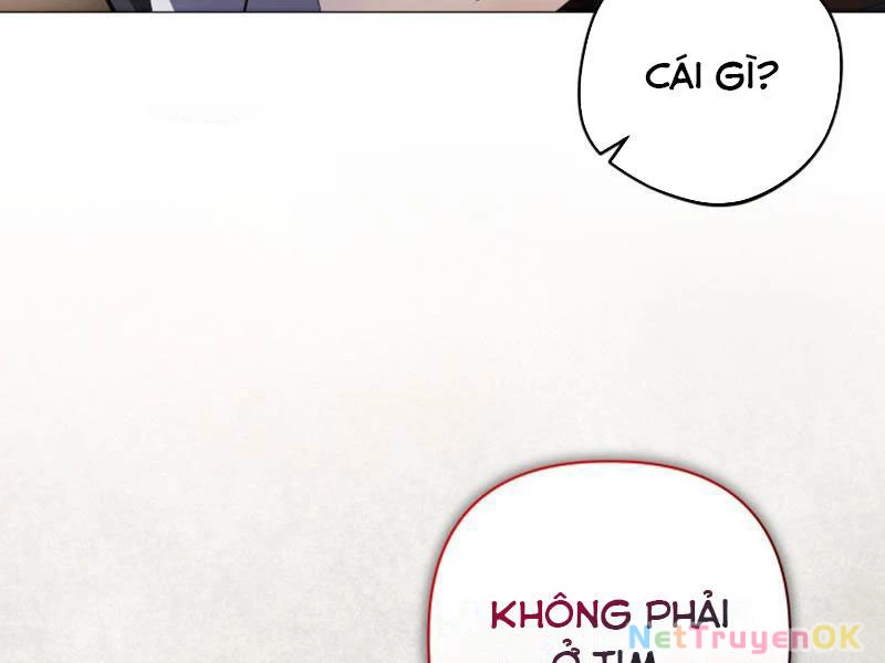 Đại Pháp Sư Thần Thoại Tái Lâm Chapter 2 - Trang 4