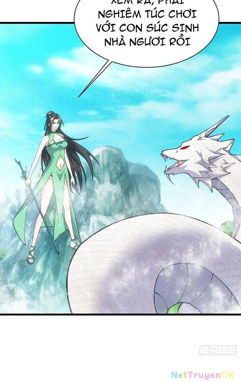 Thê Tử Của Ta Là Đại Lão Đại Thừa Kỳ Chapter 61 - Next Chapter 62