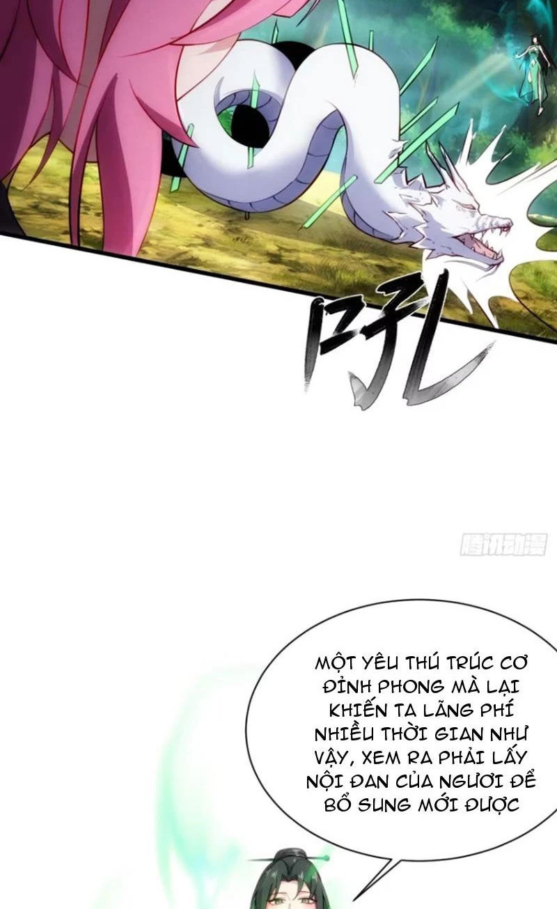 Thê Tử Của Ta Là Đại Lão Đại Thừa Kỳ Chapter 63 - Next Chapter 64