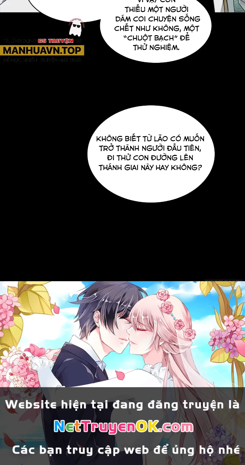 Tinh Giáp Hồn Tướng Chapter 248 - Next Chapter 249