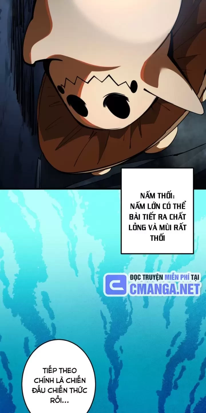 Ta, Chúa Tể Rừng Xanh Chapter 6 - Next Chapter 7