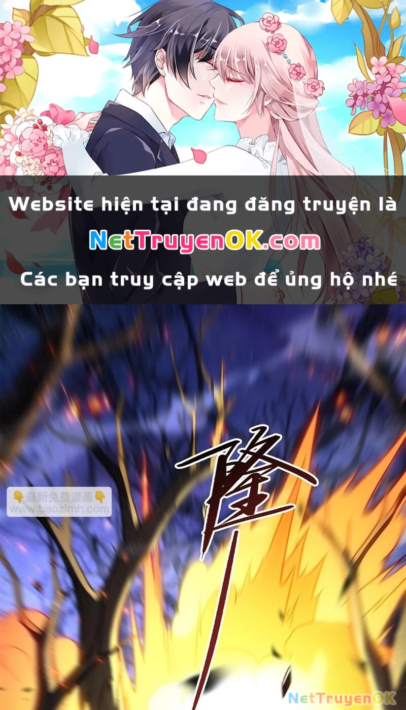 Các Nữ Đồ Đệ Của Ta Đều Là Chư Thiên Đại Lão Tương Lai Chapter 259 - Trang 4