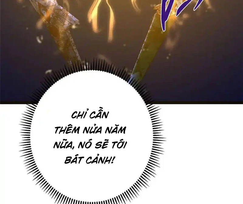 Chưởng Môn Khiêm Tốn Chút Chapter 447 - Trang 4