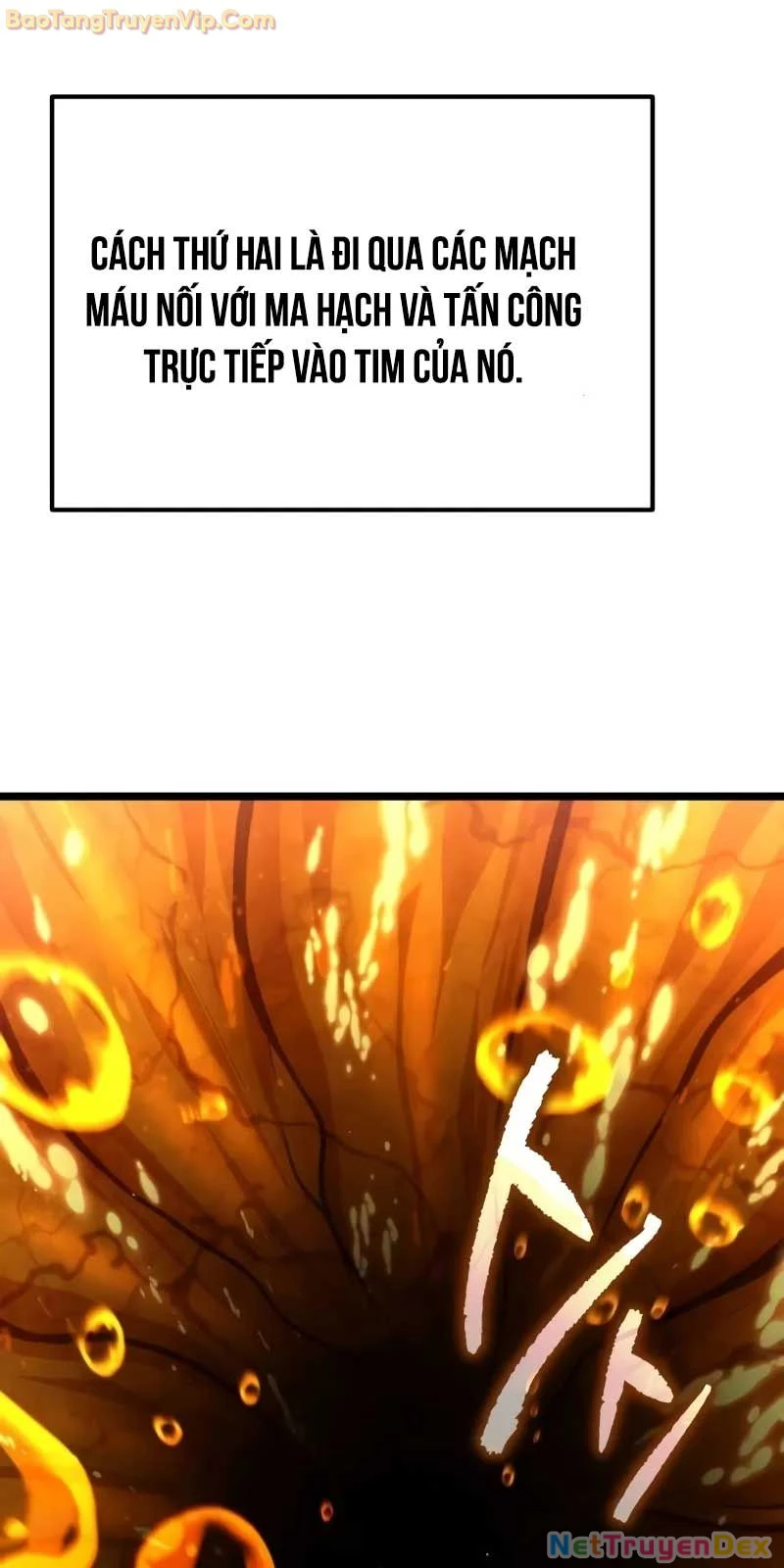 Chiến Binh Hồi Quy Chapter 60 - Next Chapter 61