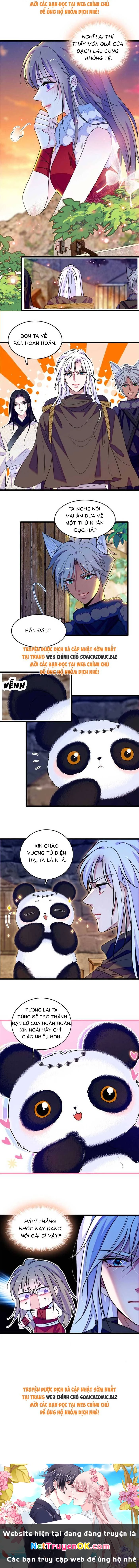 Manh Động Thú Thế Chapter 208 - Trang 4