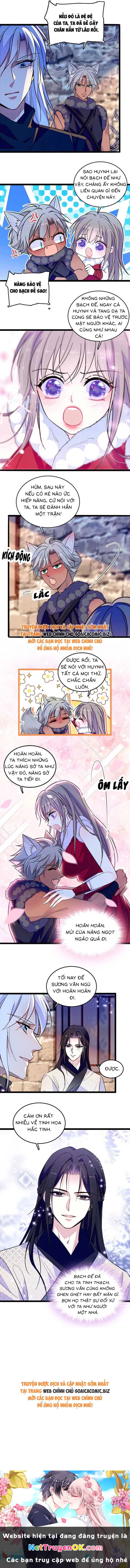 Manh Động Thú Thế Chapter 209 - Trang 4