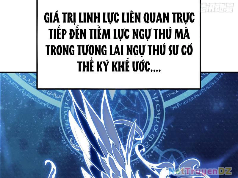 Đệ Nhất Ngự Thú Sư Chapter 2 - Next Chapter 3