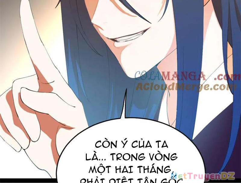 Chàng Rể Mạnh Nhất Lịch Sử Chapter 254 - Trang 3