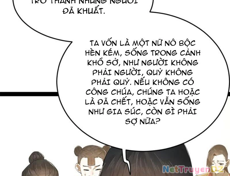 Chàng Rể Mạnh Nhất Lịch Sử Chapter 254 - Trang 3