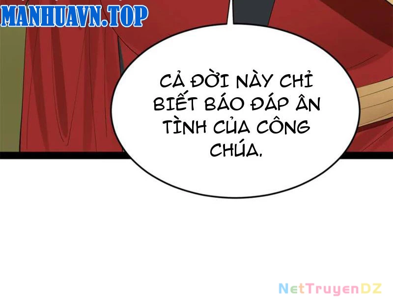 Chàng Rể Mạnh Nhất Lịch Sử Chapter 254 - Trang 3